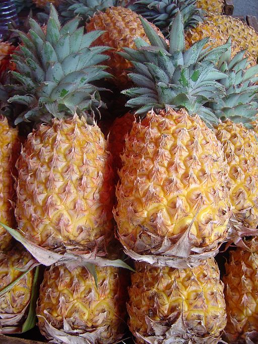 Ananas_comosus_dsc07804